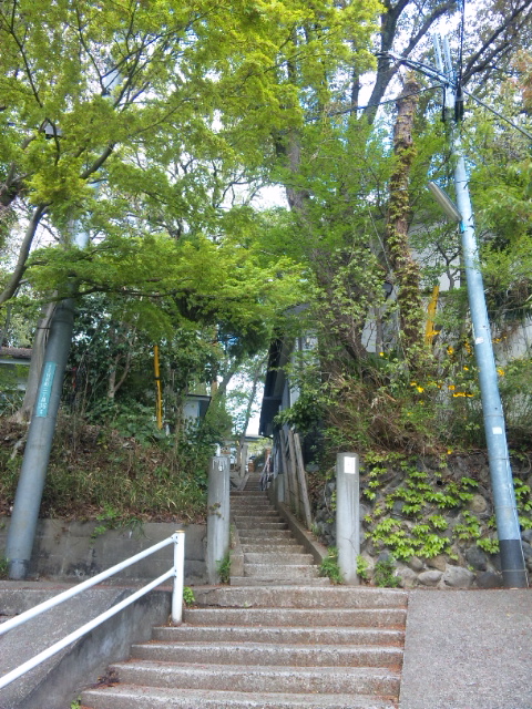 110420_141206.jpg