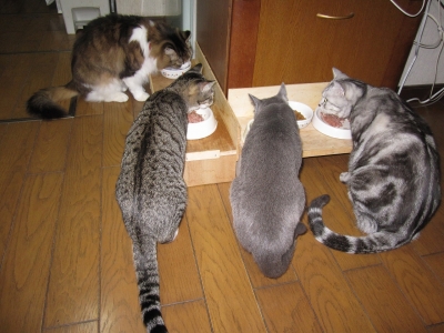 みんなで食事2