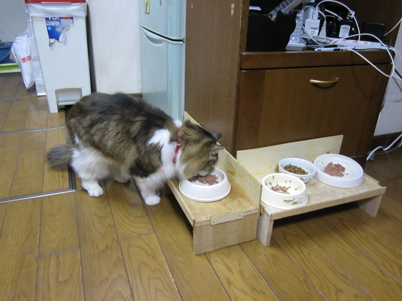 ネギ食事2
