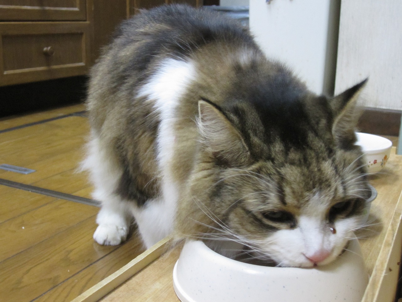 ネギ食事3