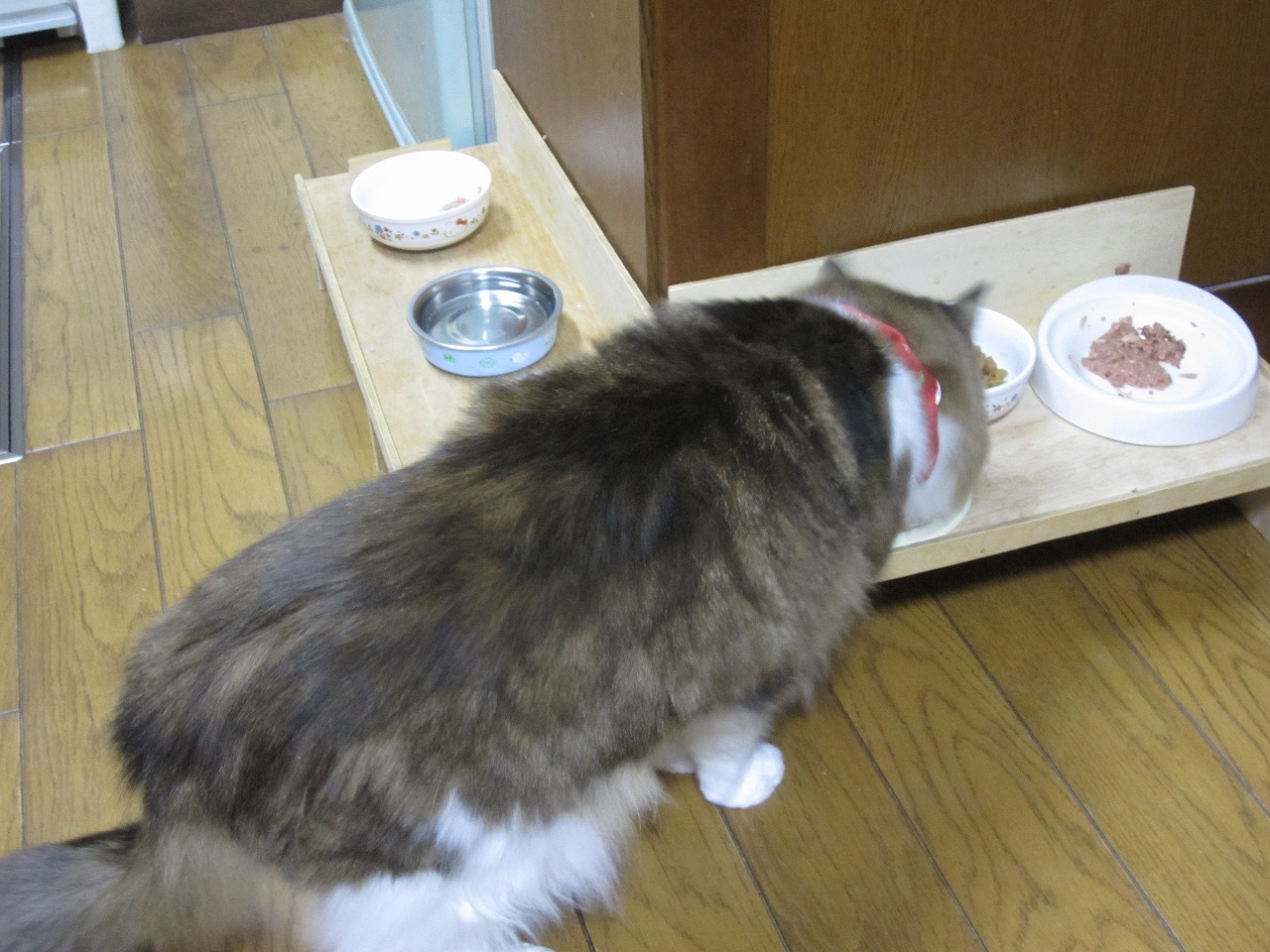 ネギ食事4