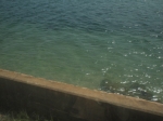 瀬戸内海きれい!