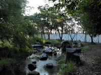 梅小路公園2010/9/18