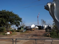 梅小路公園2010/9/18