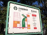 梅小路公園2010/9/18
