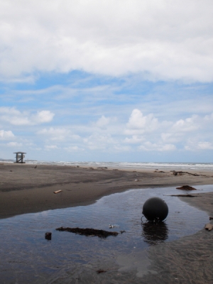 薄磯海岸2012年6月25日