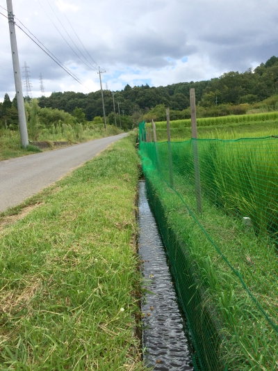リニア建設予定地1