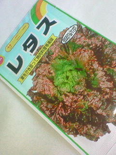 ベランダ菜園5