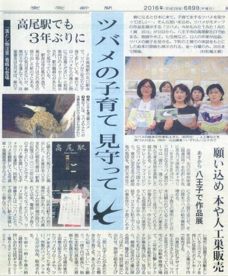 ツバメ展-東京新聞20160609