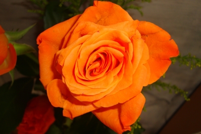 C.estLaRose