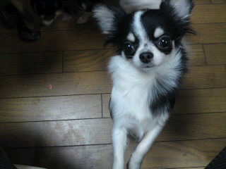 091117_2215~010001.jpg