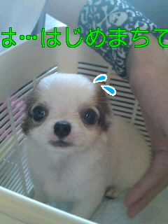 100619_1450~0100010001.jpg