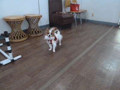 P1030140.JPG