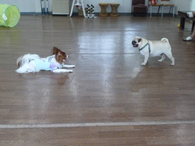 P1030144.JPG