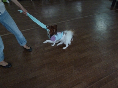 P1030161.JPG