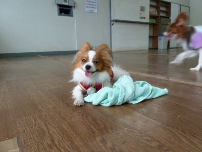 P1030167.JPG