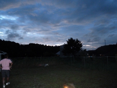 P1030195.JPG