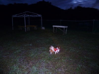 P1030196.JPG
