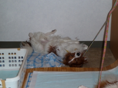 P1030234.JPG