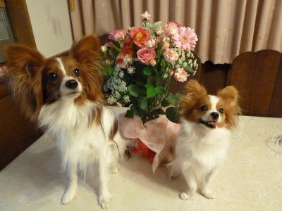P1050623.JPG