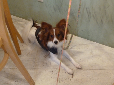 P1050717.JPG