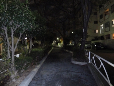 P1050734.JPG