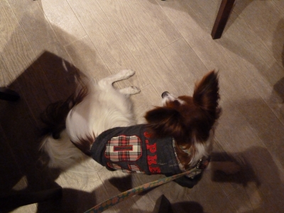 P1050749.JPG