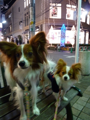 P1050768.JPG