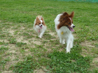 P1090120.JPG
