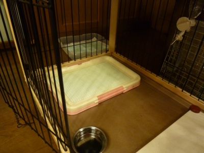 P1090761.JPG