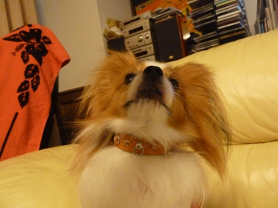 P1100753.JPG