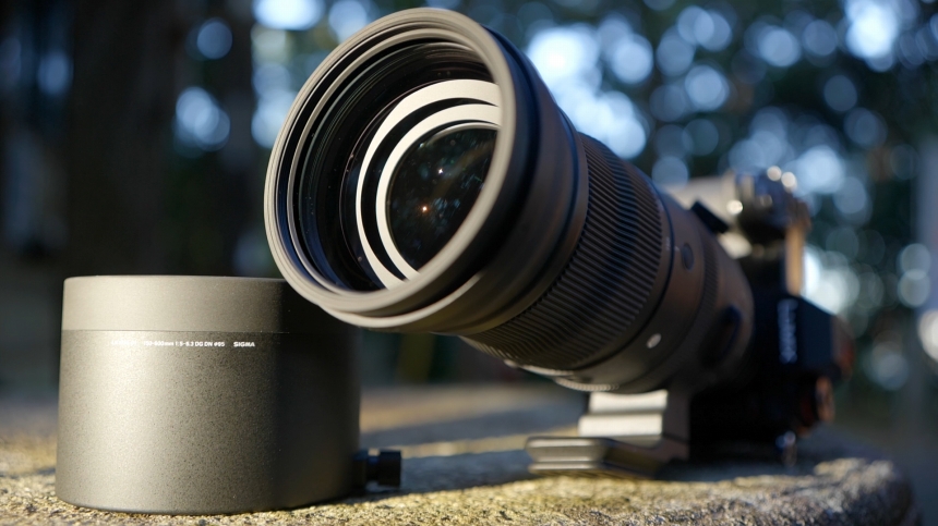SIGMA 150-600mm F5-6.3 DG DN OS|Sports 買いました | 昼日中 SIGMA 150-600mm F5-6.3 DG DN OS|Sports 買いました | 昼日中