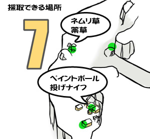 採取場所