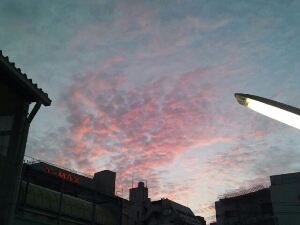 PhotoHenshu_20121008200803.jpg