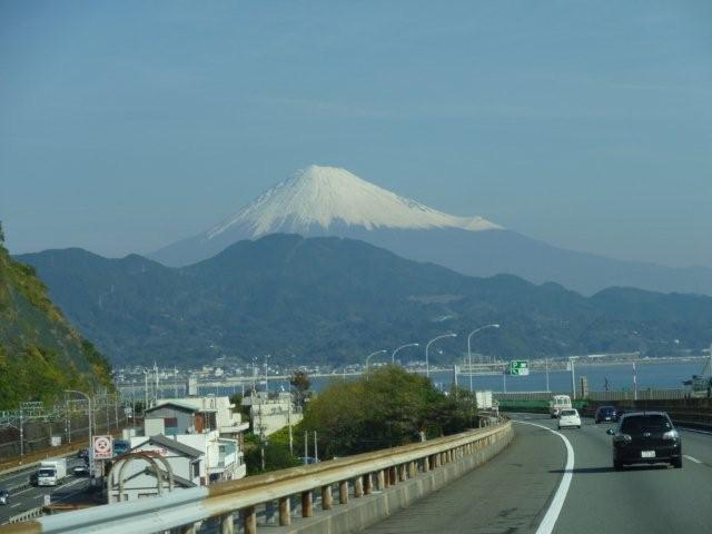 P1030803.jpg