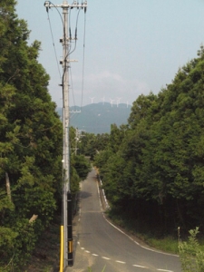 hane2