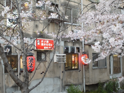 P1010430.JPG