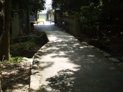 P1020104.JPG