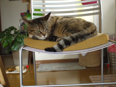 P1020129.JPG