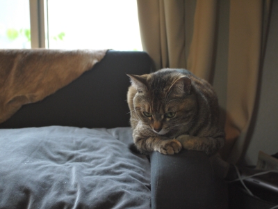 P1020134.JPG