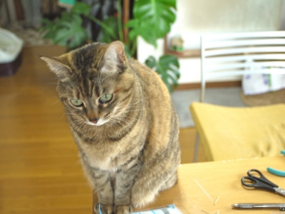 P1020166.JPG