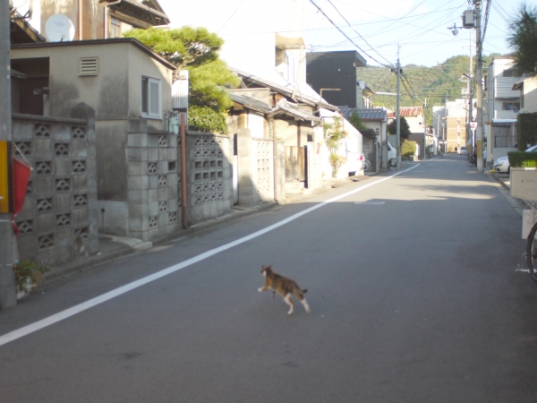 P1030342.JPG