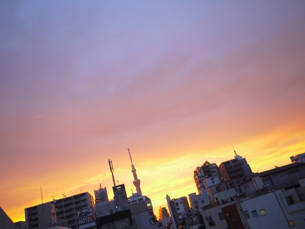 P1050539.JPG