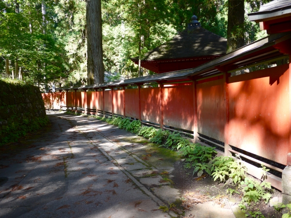 P1050866.JPG