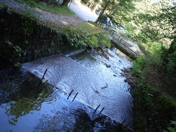 P1050883.JPG