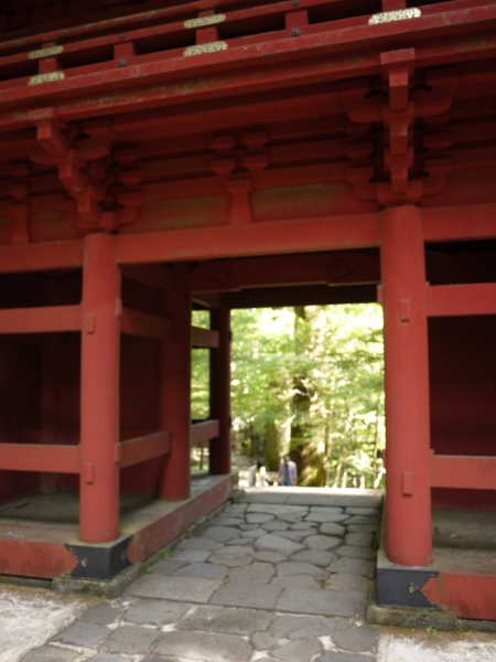 P1050894.JPG