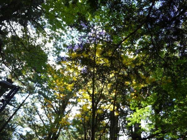 P1050897.JPG