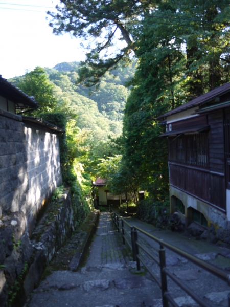 P1050903.JPG