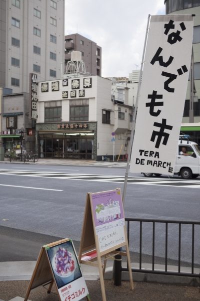_9019900.jpg
