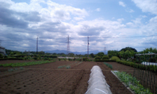 field1051410